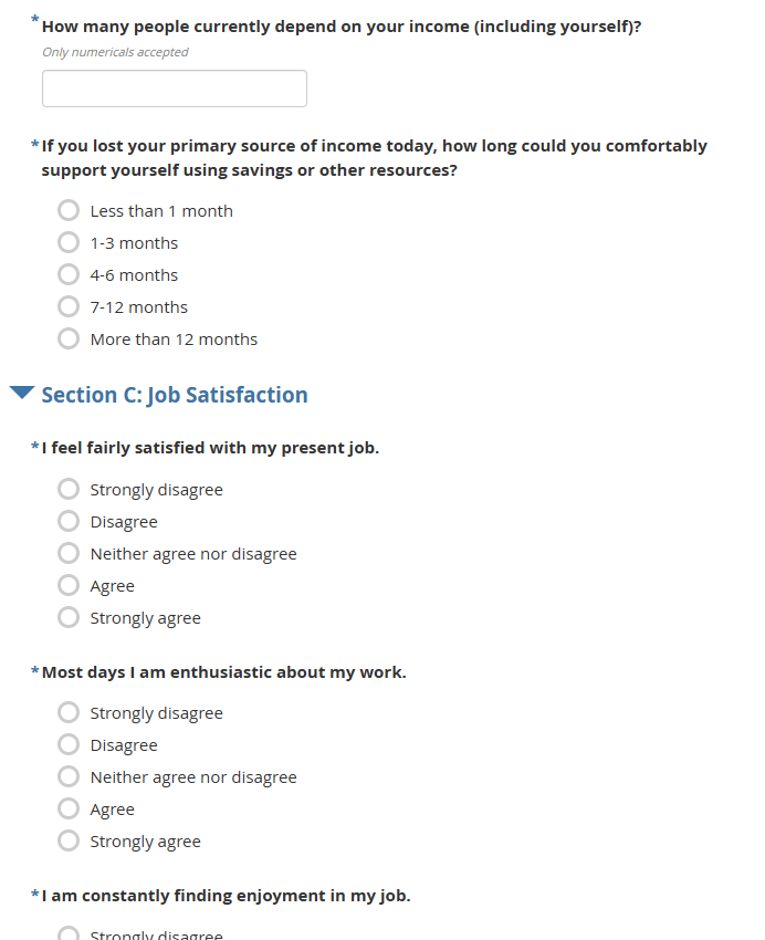 KoboToolbox Survey Collection Instrument